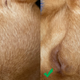 Deep Fusion off (left), Deep Fusion on (right)